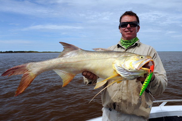 Threadie study aims to boost stocks